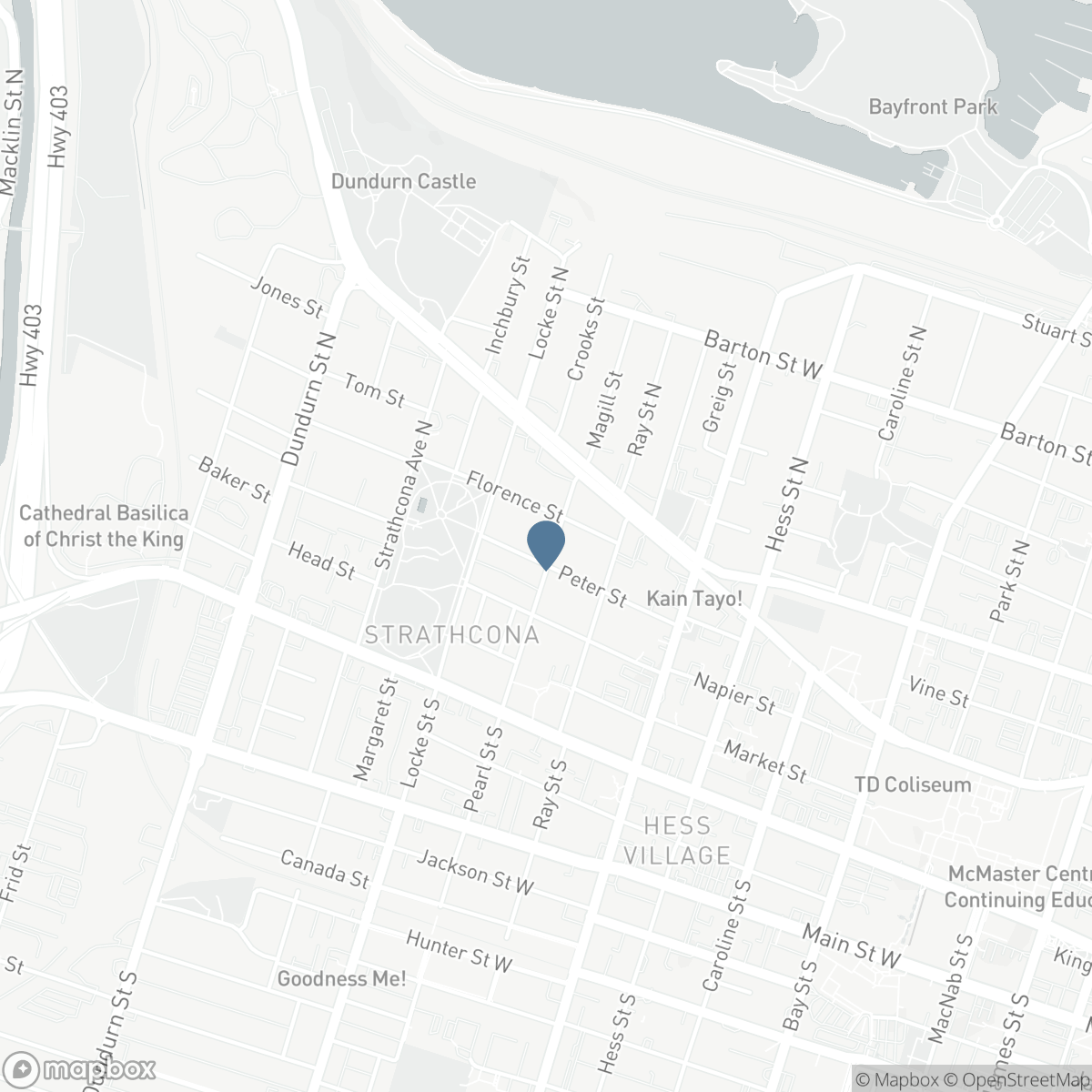 91 PEARL Street N, Hamilton, Ontario L8R 2Z2